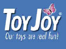 Toy Joy.jpg